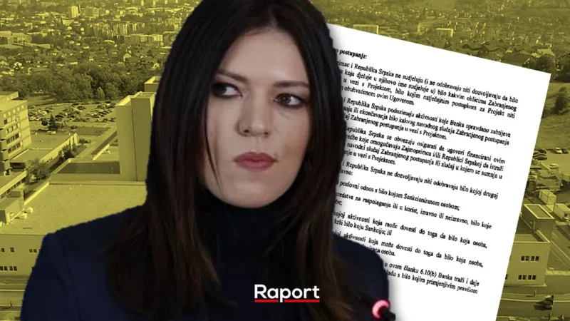 sanja vulic eib