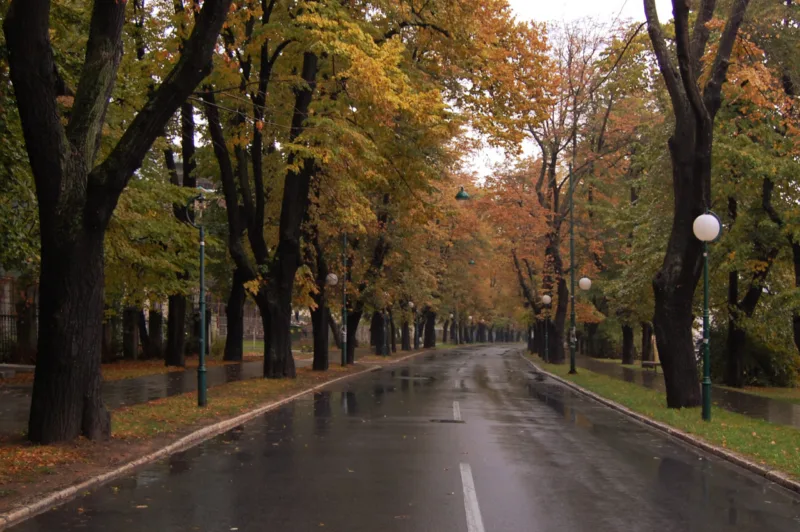 vilsonovo