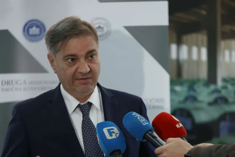 denis zvizdic fena konferencija srebrenica