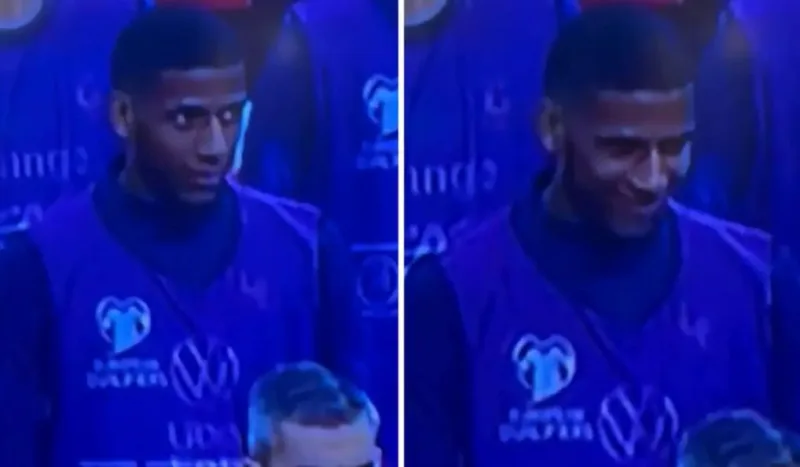 todibo