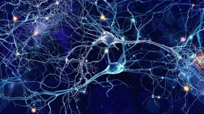neuroni