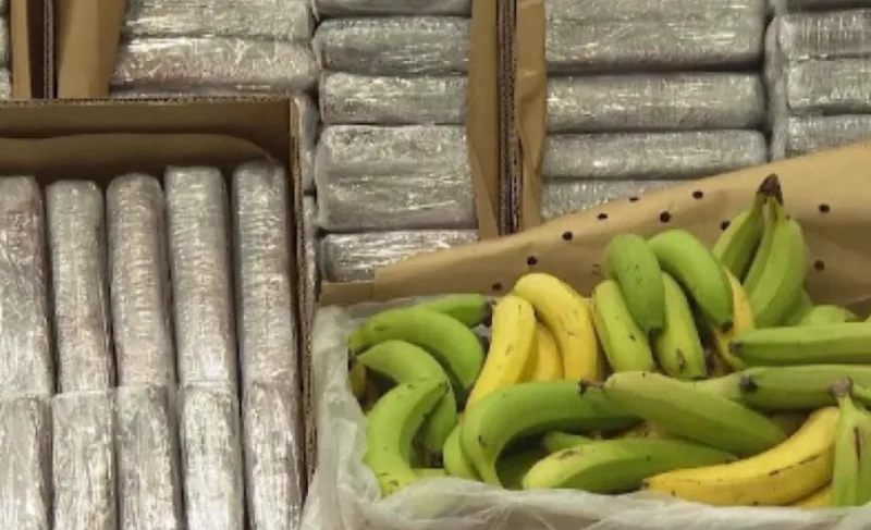 droga banane 1