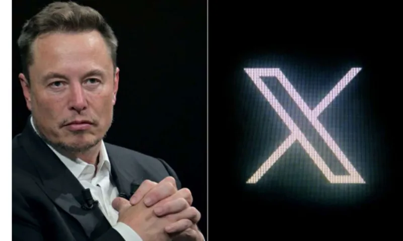 musk x 1