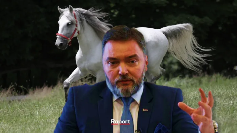 kosarac lipicaner konj
