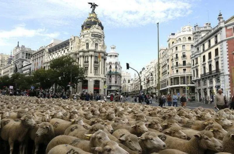 madrid