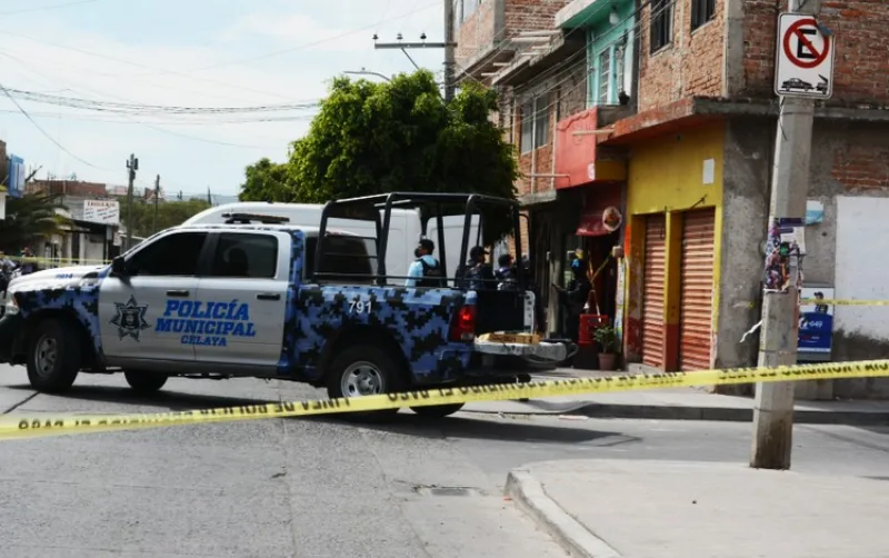 celaya 1
