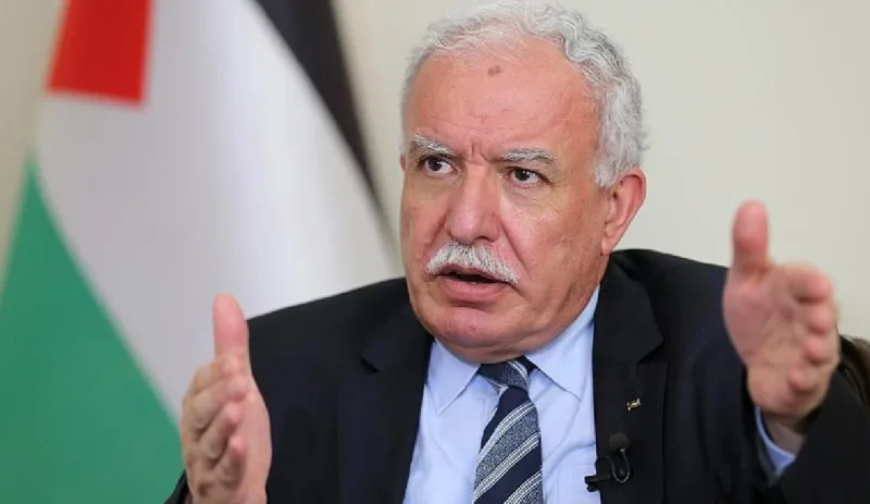 Riyad al-Maliki