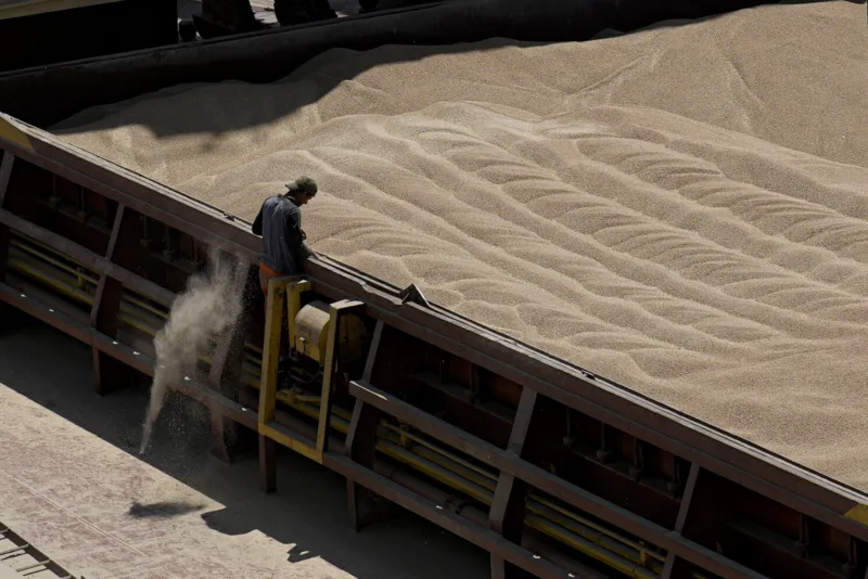Europe Ukraine Grain