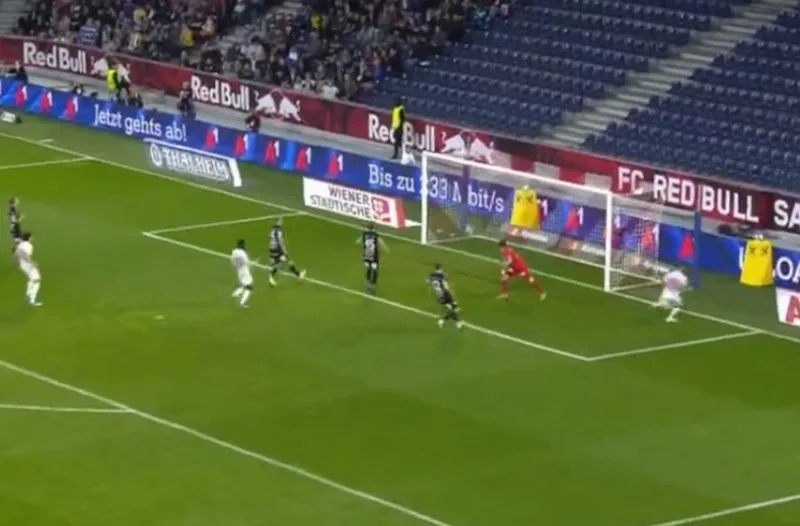 dedic-gol