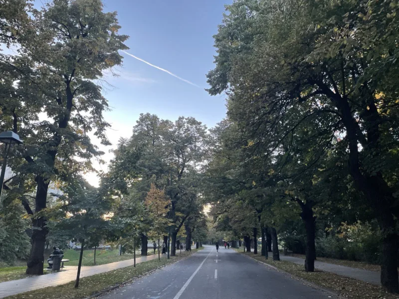 vils, vrijeme