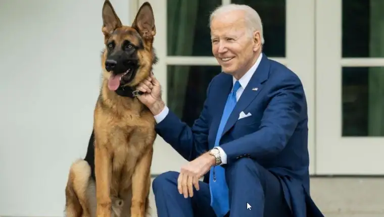 biden komandir 4