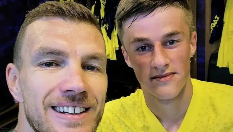 dzeko brahic