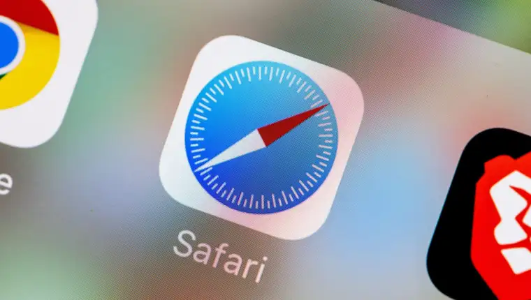 safari