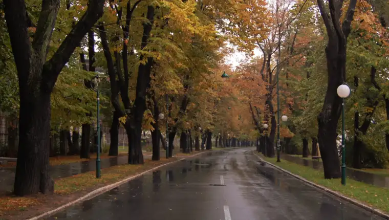 vilsonovo