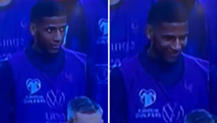 todibo