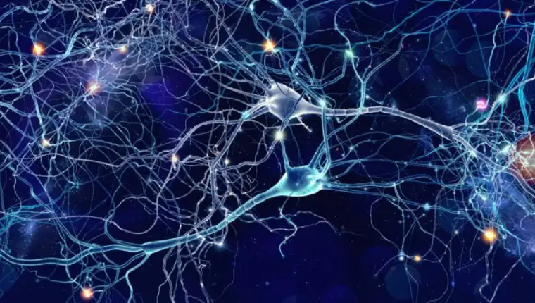 neuroni