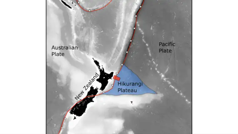 novi zeland