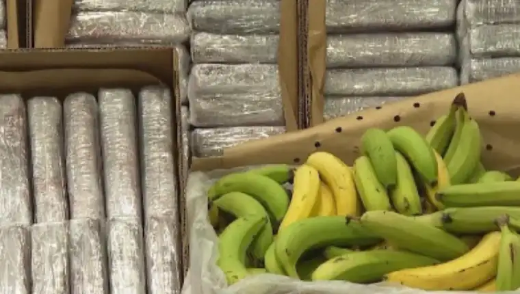 droga banane 1