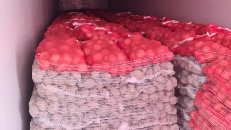 krompir 1