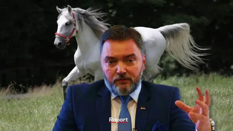 kosarac lipicaner konj