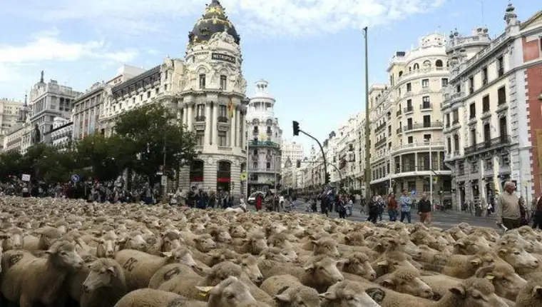 madrid