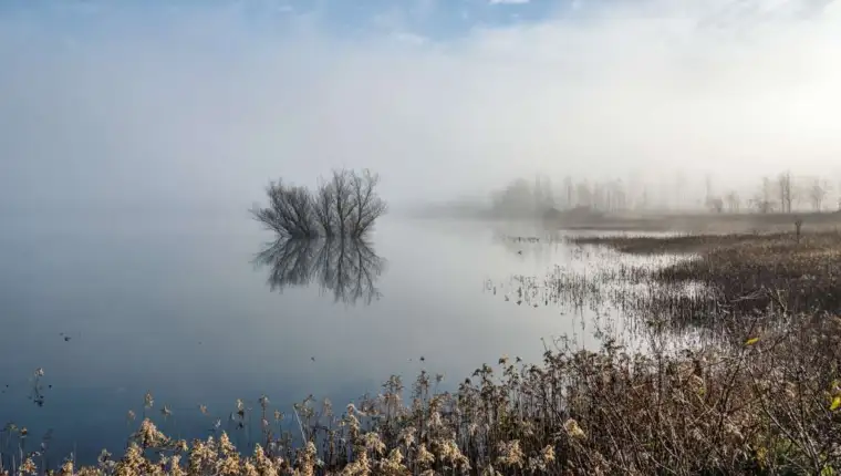 kraska polja