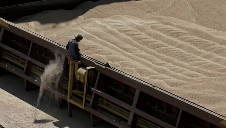 Europe Ukraine Grain