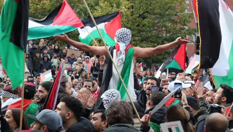 palestina podrska