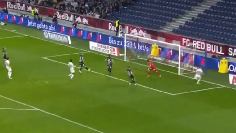 dedic-gol