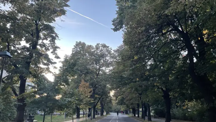 vils, vrijeme