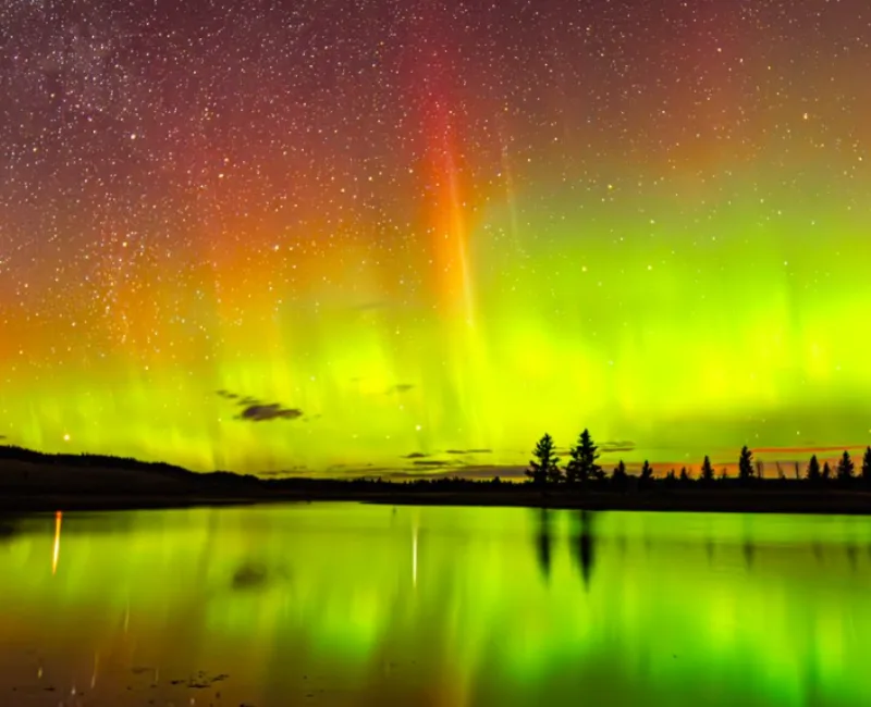 aurora