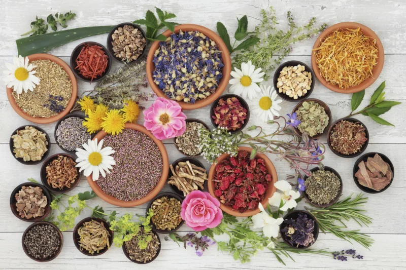Medicinal Herbs and Flowers