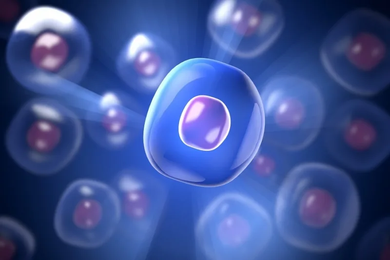 Transplantacija matičnih ćelija