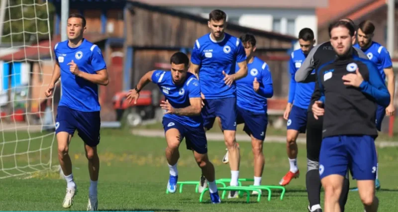 reprezentacija bih