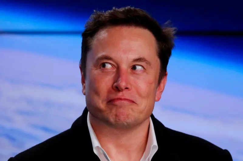 Elon musk scaled