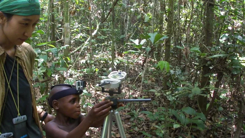 odgoj djece kongo