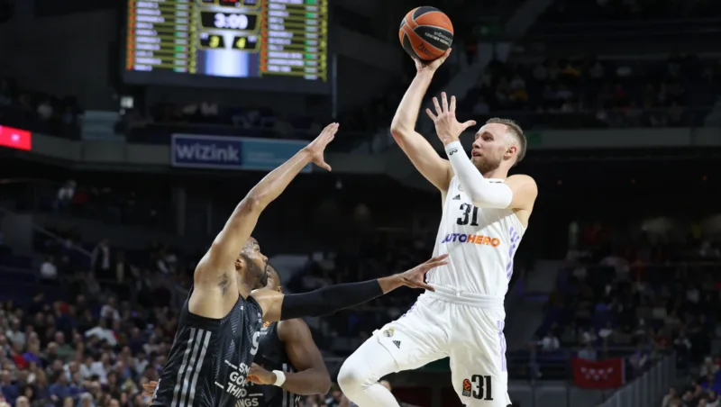 dzanan musa11