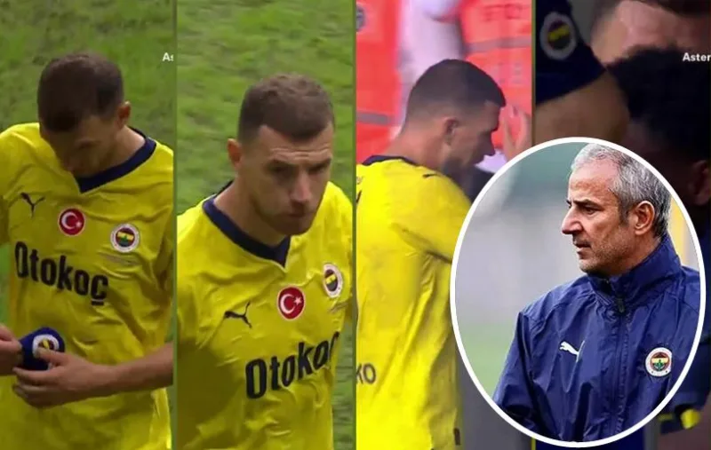 dzeko kartal