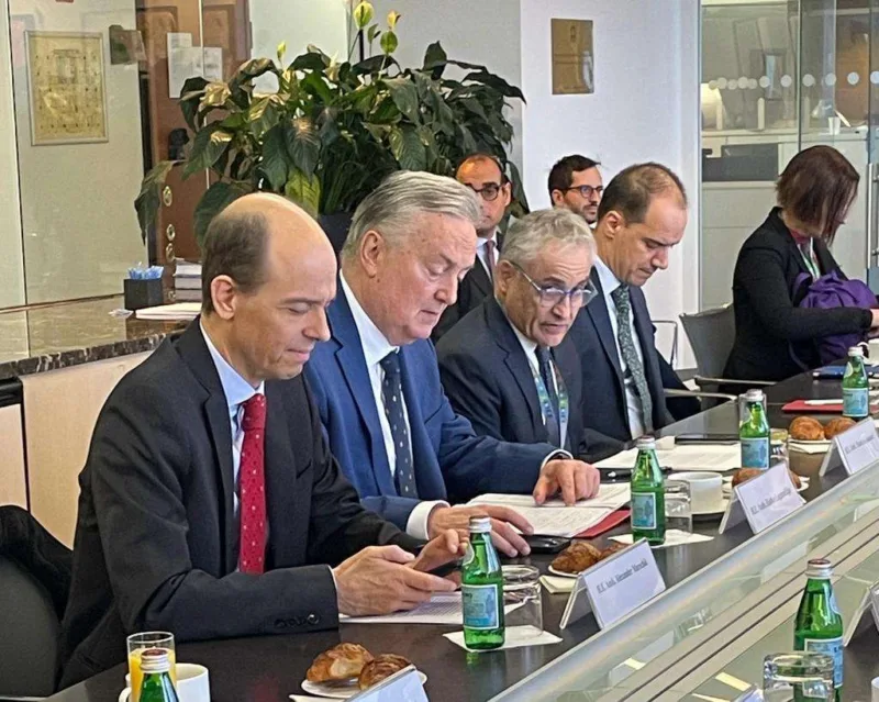 lagumdzija radna grupa sdgs