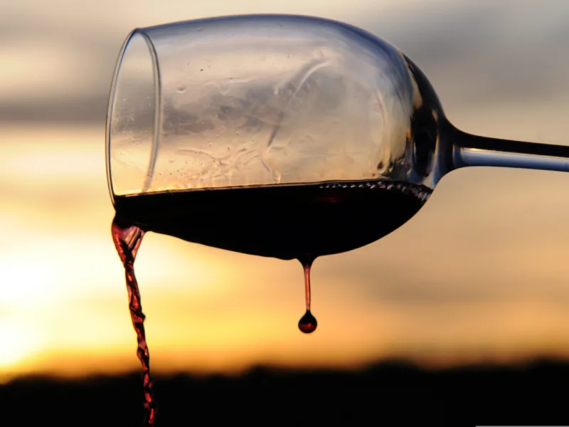 crno vino