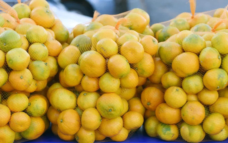 Prodaja mandarina iz doline Neretve na štandovima u Šibeniku