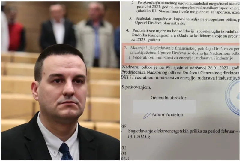 zuljevic ep bih