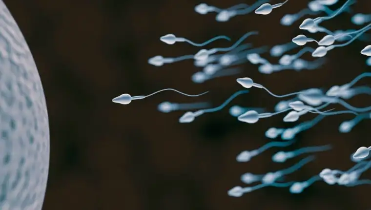 spermiji