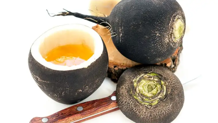 Honey and black radish close-up.