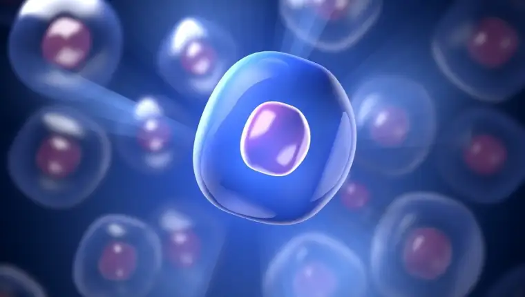 Transplantacija matičnih ćelija