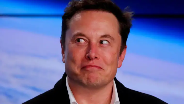 Elon musk scaled