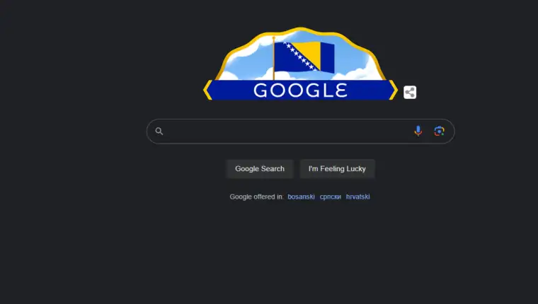 goggle dan državnosti
