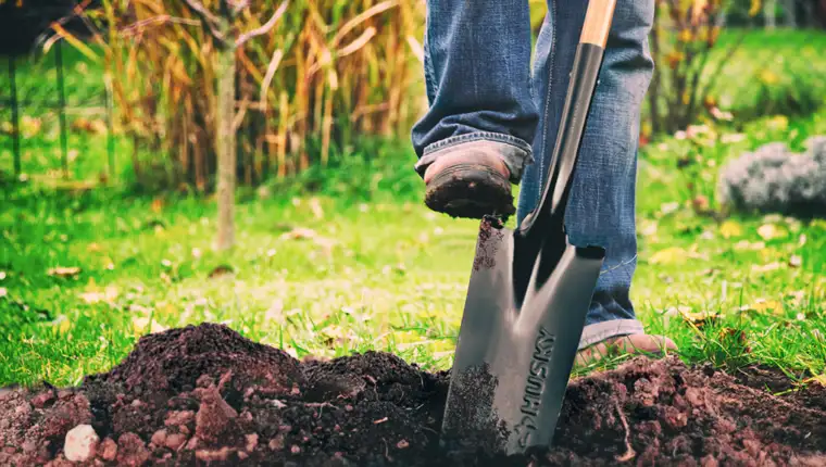 how-to-pick-the-right-digging-tools-for-your-project-step-1