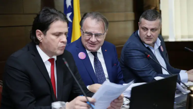 toni kraljevic, nermin niksic vojin mijatovic vlada fbih