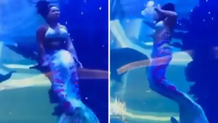 sirena